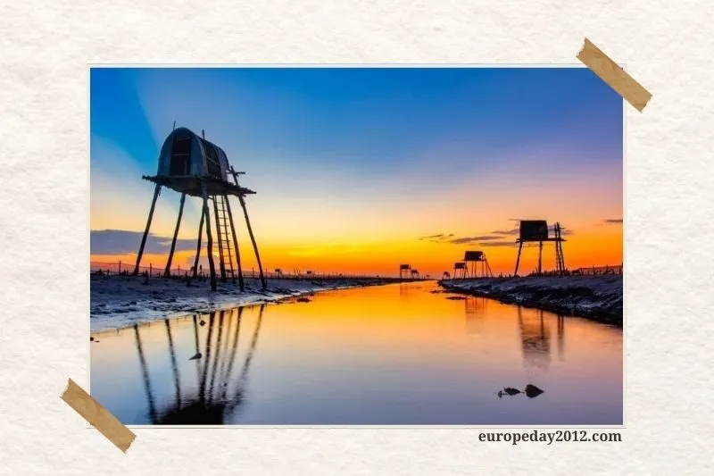 Bãi biển Cồn Vành