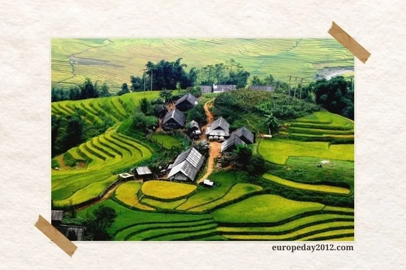 Cánh đồng Mường Lò