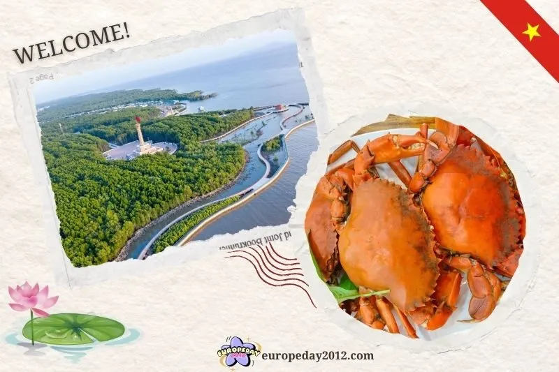 Địa điểm du lịch Cà Mau: Những điểm đến hấp dẫn