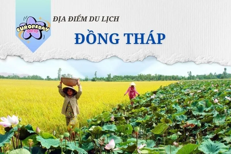Đồng Tháp