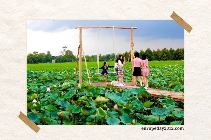 Khu du lịch Đồng Sen Tháp Mười