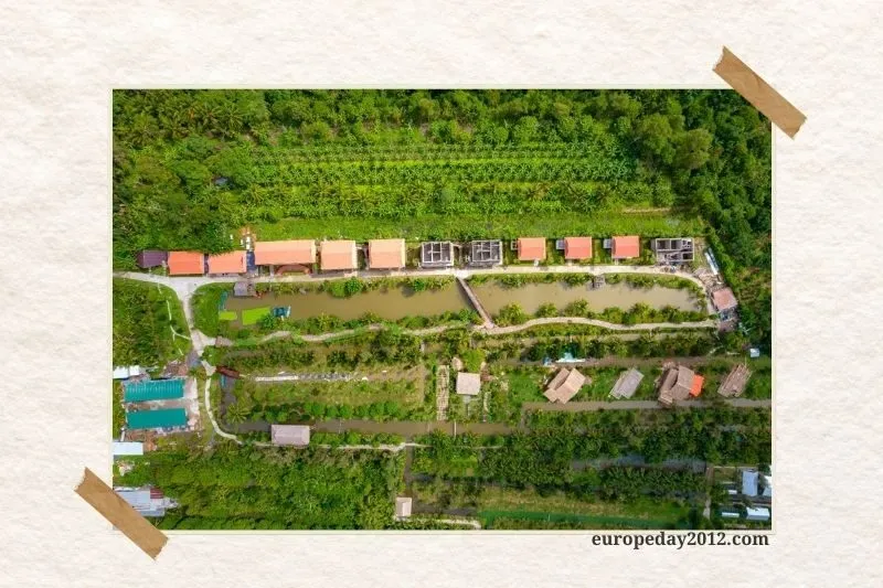 Khu Du Lịch Phước Sơn