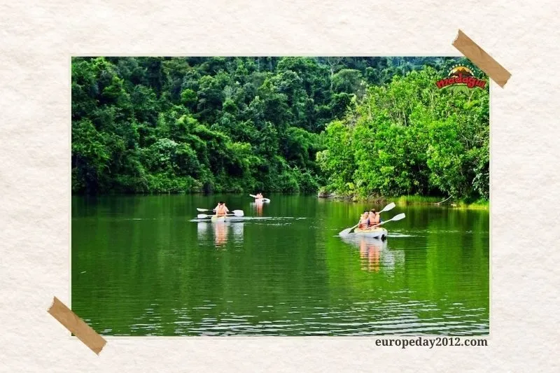 Khu du lịch rừng Madagui