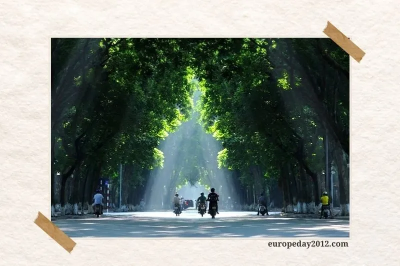 Phố Phan Đình Phùng