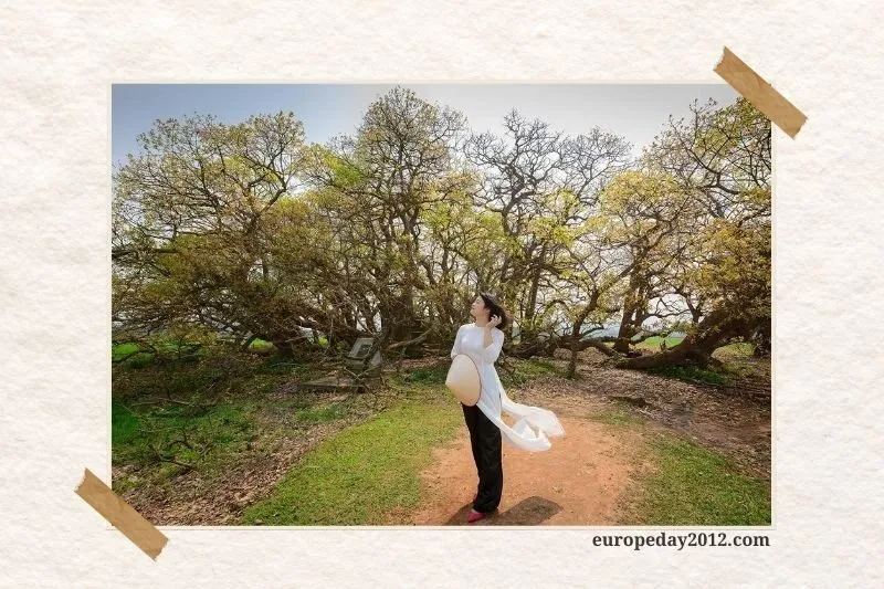 Quần thể Lộc Vừng ở Cẩm Khê