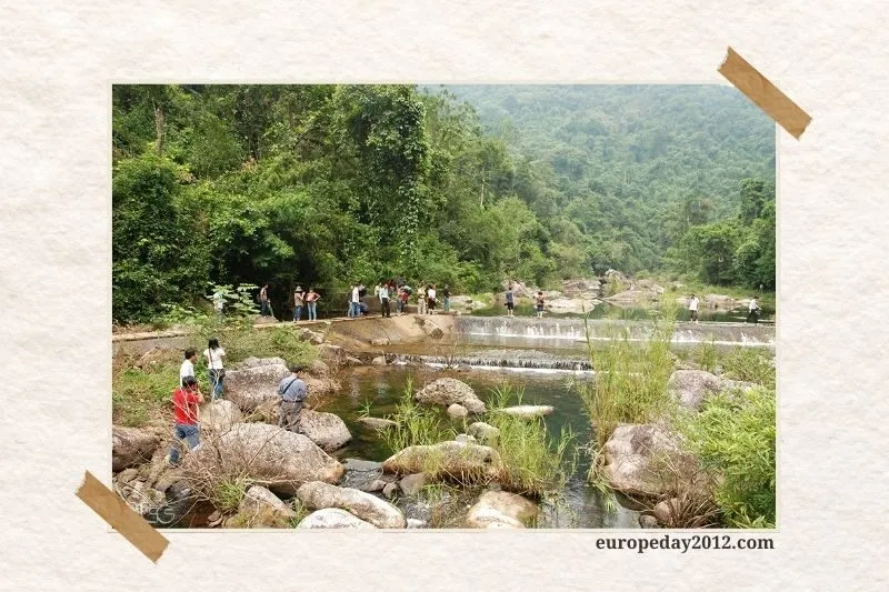 Rừng nguyên sinh Khe Rỗ