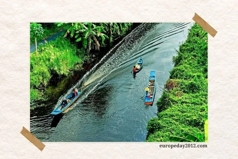 Rừng quốc gia U Minh Hạ