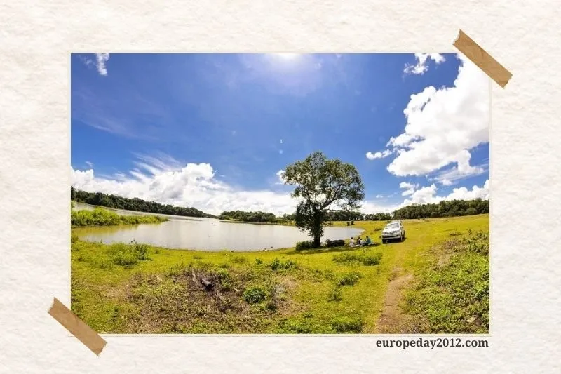 Trảng cỏ Bù Lạch