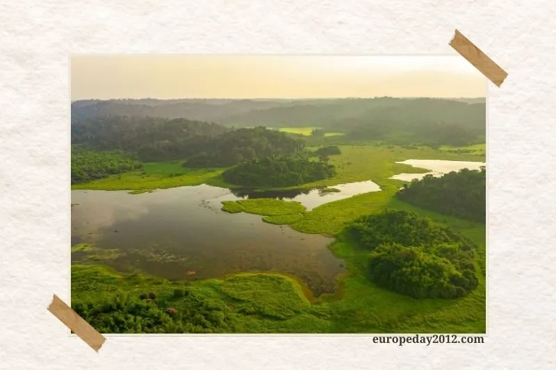 Vườn Quốc Gia Nam Cát Tiên