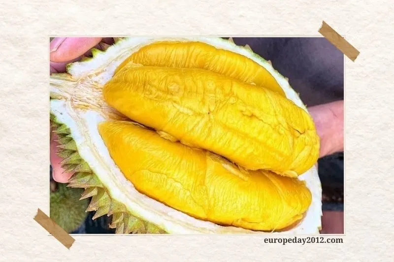 Vườn trái cây Gò Chùa