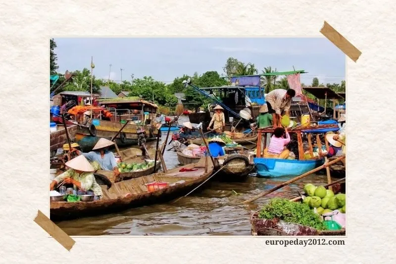 Vườn trái cây tại cù lao Thới Sơn