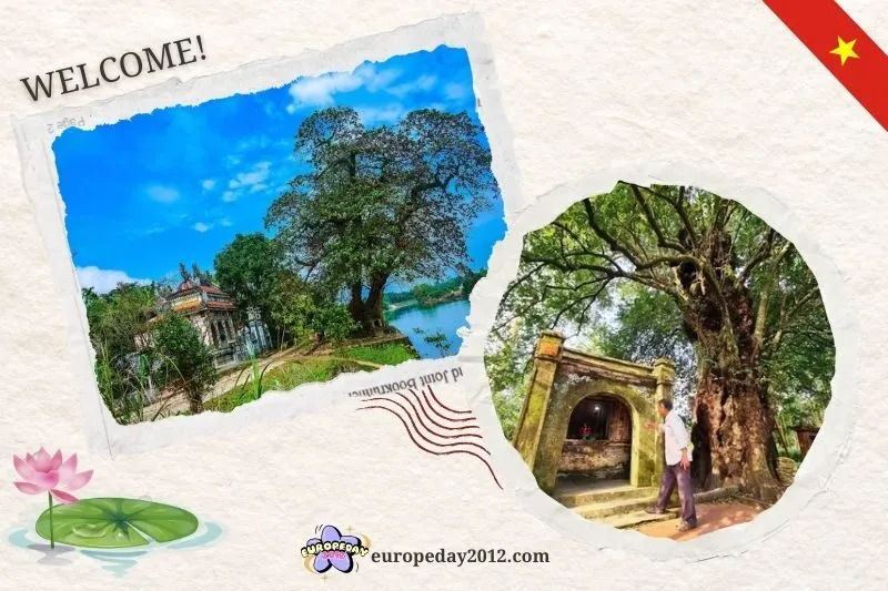 Tổng Quan Về Làng Cổ Phước Tích Huế